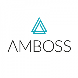 Amboss Raises €30M In Series B Funding - FinSMEs