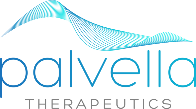 palvella-logo