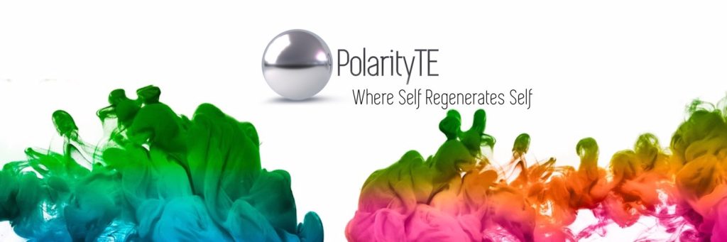 PolarityTE